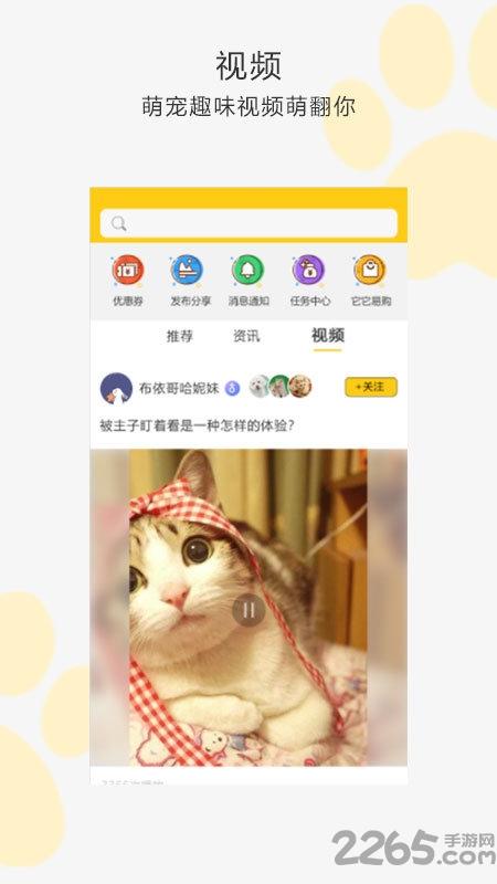 我爱它它app下载,我爱它它,宠物app